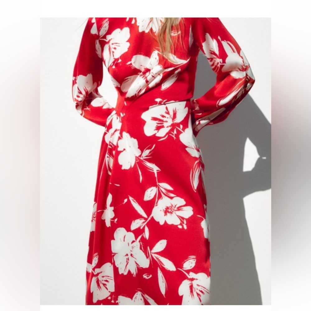 Zara dress